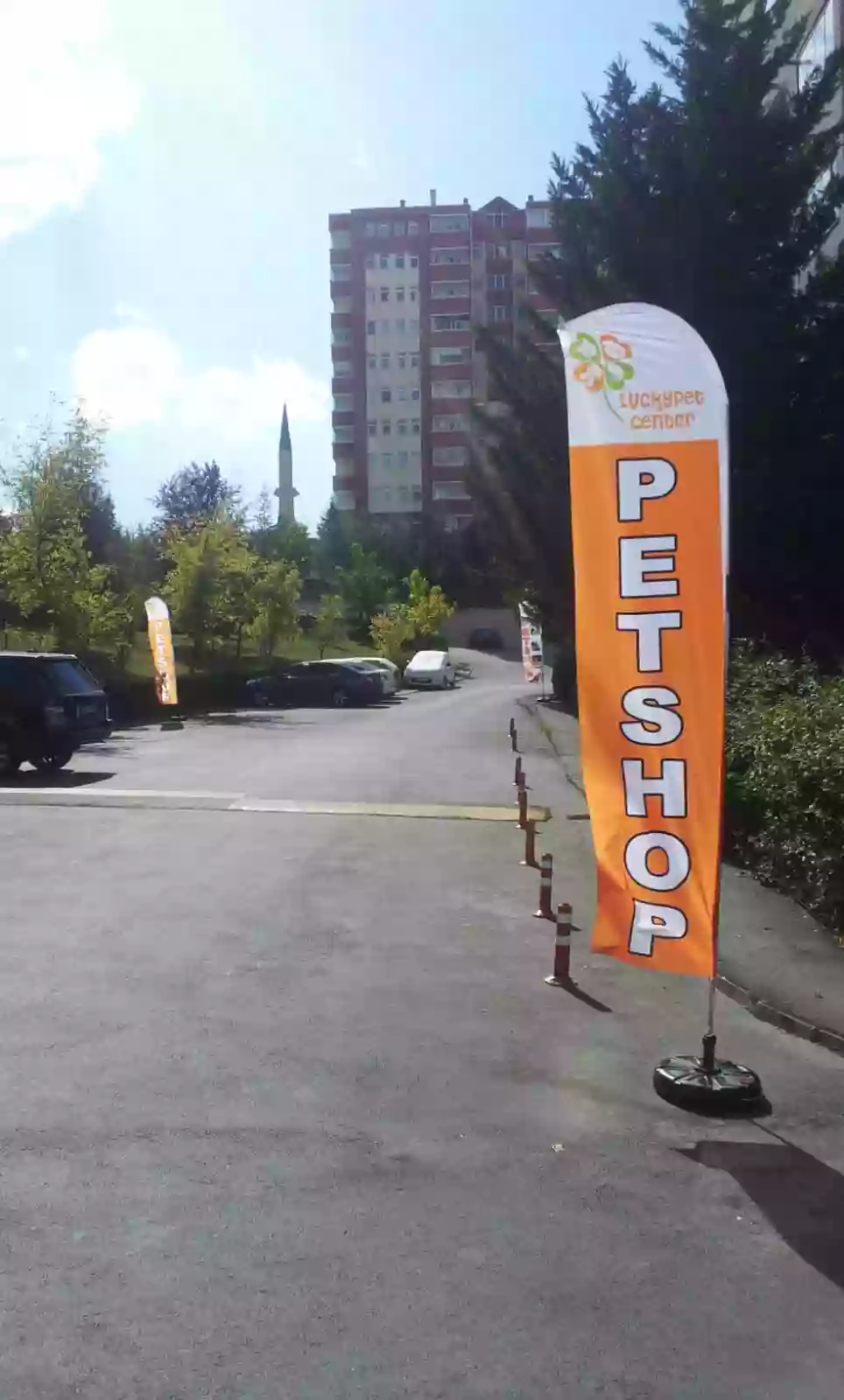 petshop-olta-bayragi